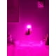 thumbnail image 3 of Ampolleta Led Colores Fiesta Luz Color Lampara Violeta violeta, 3 of 5