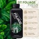 thumbnail image 2 of Fertilizante líquido Growth Technology Foliage Focus, 2 of 3
