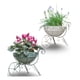 thumbnail image 2 of Soporte Macetas Ornamentado Plantas Carretilla Flores Jhn, 2 of 3