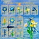 thumbnail image 3 of Kit de construcción Rongmeiz Ramo de flores margarita azul hielo DIY, 3 of 7