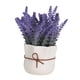 thumbnail image 2 of Juego De Jarrón Artificial Para El Hogar Con Planta En Maceta De Lavanda Para Comedor, Hotel, Cocina, Estilo A, 2 of 3