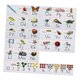 thumbnail image 4 of Tablero De Anuncios Del Alfabeto Aprendizaje Temprano Kinder Preescolar Decoraciones, 4 of 5