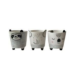 Genérico - Set 2 Macetas Pequeñas Plantas Cactus Decoracion Hogar Lau