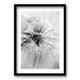 thumbnail image 1 of Cuadro Flor De Leon 50x35cms, 1 of 1