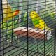 thumbnail image 4 of Jaula para loros Bird Perch Niteangel, plataforma de madera, 7 x 3 cm, 4 of 6