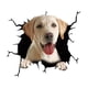 thumbnail image 5 of Pegatinas De PVC Para Perros, Calcomanías Para Grietas De Coches, Adhesivos Para Ventana De Mascotas Para Pared, Nevera, Camión E, 5 of 5