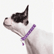 thumbnail image 3 of Collar Minnie con Cascabel para Gatos Morado, 3 of 3