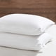 thumbnail image 1 of Juego De 2 Camas Blandas Pillow Tamaño King 20 X 91 Cm, 1 of 6