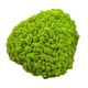 thumbnail image 1 of 25g Simulación Bolas De Musgo Piedra Bricolaje Jardín Planta Florero Decoración Verde, 1 of 5