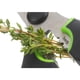 thumbnail image 2 of Tijera Mango Suave, 2 of 3