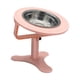 thumbnail image 3 of Cuencos elevados para gatos, bandeja de alimentación elevada para mascotas, cuenco de comida para gatos inclinado, cuenco de alimentación para mascota, 3 of 5