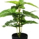 thumbnail image 3 of Planta Decorativa Artificial Philodendron 45 Cms., 3 of 4