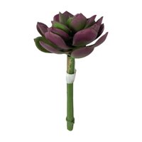 Corel - Suculenta Burdeo-Verde 12Cm Con Detalles Increíbles