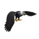 thumbnail image 3 of Modelo de águila simulada, juguete para niños, estatua de águila educativa muy detallada, figura de juguete de águila para niños, niñas, niños, regalo L negro, 3 of 5