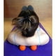 thumbnail image 3 of Pelotas de Masaje Lacrosse Kieba de 2,5 Pulgadas, 3 of 3