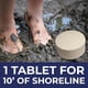 thumbnail image 3 of PondValue 48 Tabletas Reductor Natural de Lodo para Estanques, 3 of 9