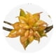 thumbnail image 2 of Set 2 Enredadera Floral Decorativa Diseño Caída Natural Jhn, 2 of 3