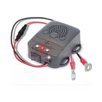 Importclick - Repelente Ahuyenta Espanta Ratones Ultrasónico Automóvil