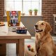 thumbnail image 4 of Pack X2 Snack Para Perros Wanpy Tiritas De Vacuno Beef 100g C/u, 4 of 5