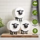 thumbnail image 4 of Juego De 3 Divertidos Portarrollos Black Sheep, 4 of 7