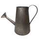 thumbnail image 1 of Regadera decorativa, 1 of 2