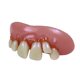thumbnail image 2 of Disfraz Billy-Bob Big Cletus – Dientes, 2 of 6