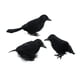 thumbnail image 1 of 3 Piezas De Cuervos De Halloween, Pájaros, Cuervos De Plumas De Simulación Negra Para Fiesta De Halloween, Estilo A, 1 of 5