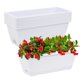 thumbnail image 1 of Maceta CHUKEMAOYI de plástico para verduras con ventana, paquete de 7 unidades, color blanco, 1 of 7