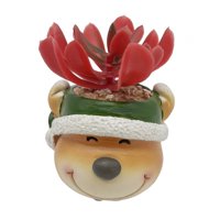 Bothyi - Plantas Artificiales En Macetas Navideñas, Maceta De Imitación, Adorno De Navidad Para Niños, Renos