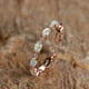 thumbnail image 1 of Exquisite Opal Ring for Women - Perfect Engagement, Wedding, and Valentine's Gift, 1 of 5