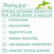 thumbnail image 5 of Tea Mighty Leaf Organic Spring Jasmine Green 100 bolsas, 5 of 8