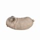 thumbnail image 4 of Figuine Hi-Line Gift Ltd. Pug Dreamland, poliresina marrón, 4 of 5