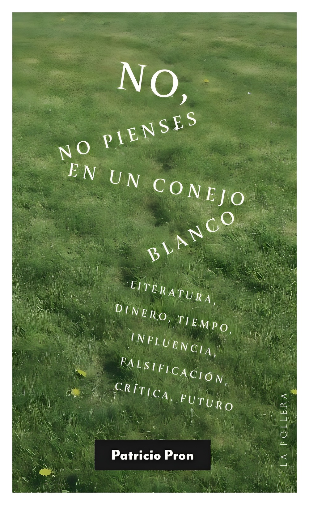 Top10Books - Libro No No Pienses En Un Conejo Blanco Patricio Pron