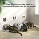thumbnail image 4 of Comedero Automático RFID Antirobo Comida Gatos, 4 of 10