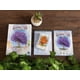 thumbnail image 3 of Juego de cartas Renegade Game Studios Arboretum Strategy desde hace más de 8 años, 3 of 7