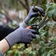 thumbnail image 3 of LOCCEF Safety Work Gloves Nylon MicroFoam Nitrile Coated Gloves, 3 of 3