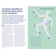thumbnail image 2 of Atajos De Ciencia de Editorial Librero, 2 of 5