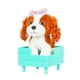 thumbnail image 2 of Mascota Perro Loki, 2 of 2