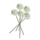 thumbnail image 1 of 5 Bolas Artificiales De Crisantemo De Seda Para Decoración De Mesa Y Casa, Color Verde, 1 of 3