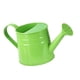 thumbnail image 3 of Regadera Para Ni?os, Ideal Para Plantas De Interior Y Exterior, Para Jardinería, Color Verde, 3 of 5
