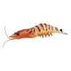 thumbnail image 4 of Figuras De Juguete De Criaturas De Gambas Realistas Aprendizaje Temprano Cognitivo Para Enseñar Naranja 103g, 4 of 5