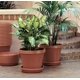 thumbnail image 4 of Bandeja Terratray de resina y terracota Planter Fiskars de 2 cm de alto y 10 cm de diámetro, 4 of 4