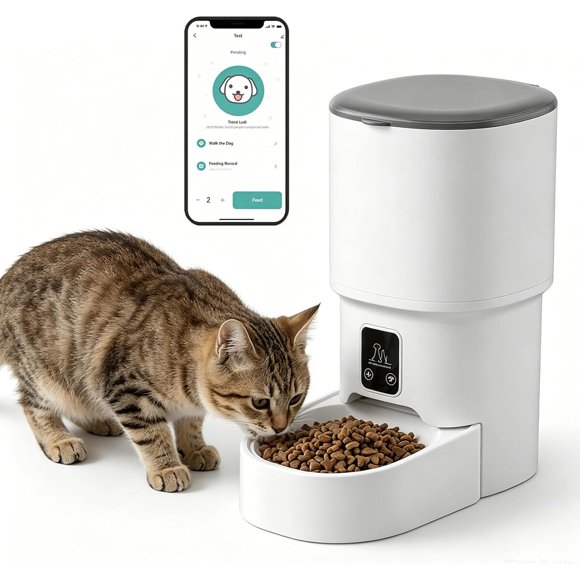 Comedero Automático para Gato XALBDMNB ZDWSQ001 con WiFi y App