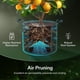 thumbnail image 4 of Bolsas para cultivo de plantas VIVOSUN, paquete de 5 unidades, tela no tejida de 11 litros con asas, 4 of 8