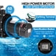 thumbnail image 4 of Bomba para piscina Leomru, 2 HP, 6800 GPH, autocebante, 110 V/220 V, 4 of 9