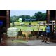 thumbnail image 4 of Bolas de Golf Clean Green - Pack de 48 (Kirkland Signature), 4 of 7