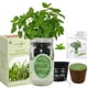 thumbnail image 2 of Kit de cultivo de hierbas Environet toronjil con riego automático, 2 of 4
