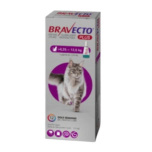 Bravecto Plus Pipeta Gato 1.79 Ml 6.25-12.5 Kg X 1 Unidad