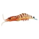 thumbnail image 3 of Figuras De Juguete De Criaturas De Gambas Realistas Aprendizaje Temprano Cognitivo Para Enseñar Naranja 103g, 3 of 5