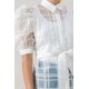 thumbnail image 3 of Una Mini Blusa de Organza Transparente, 3 of 5